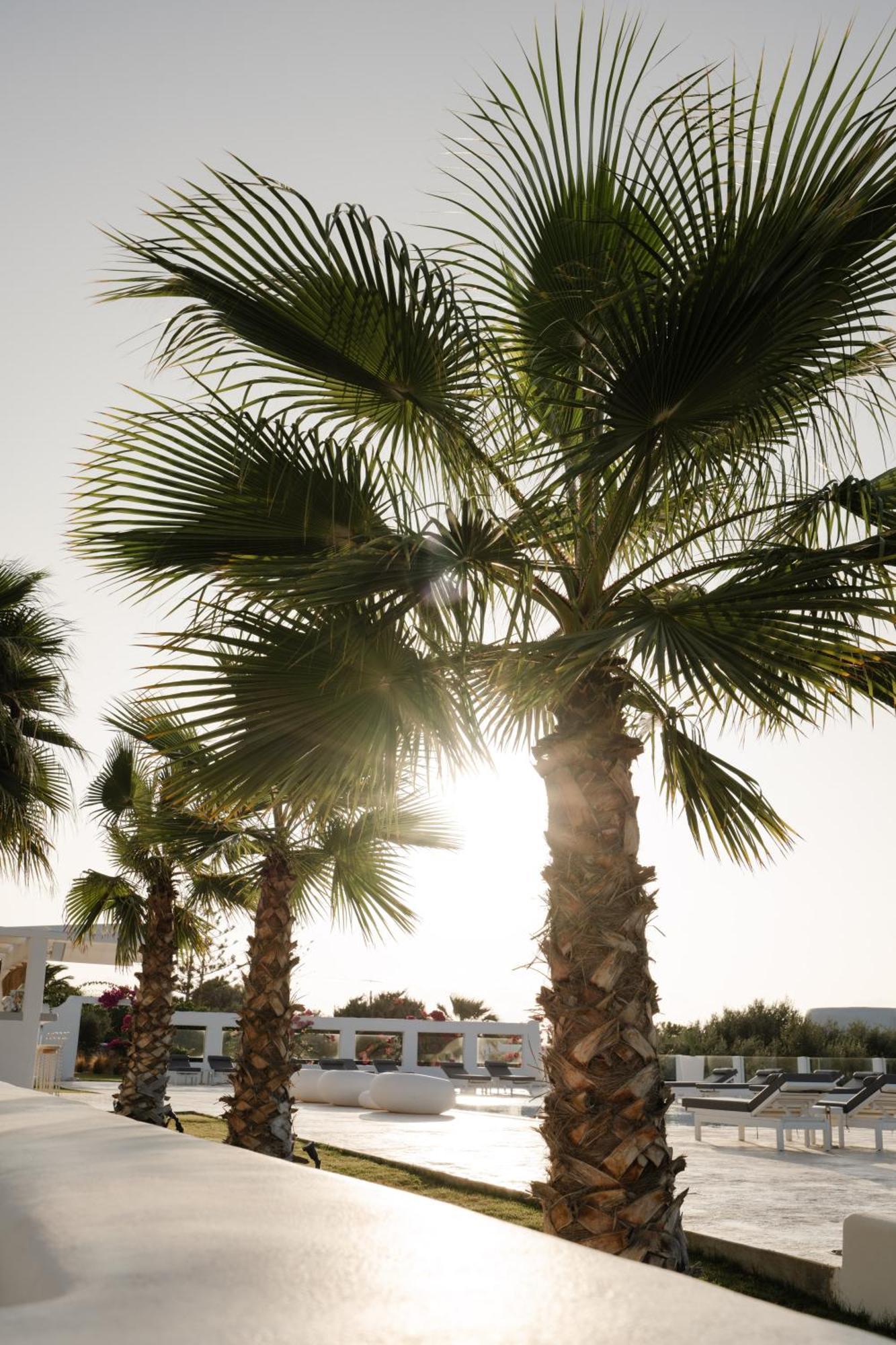 White Dunes Luxury Boutique Hotel Санта-Мария Экстерьер фото